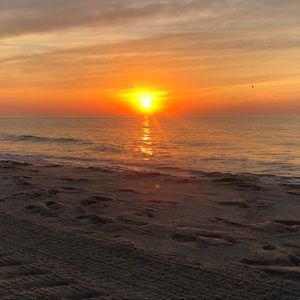 Meet your Posher, Sydney